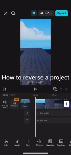 Reversing project