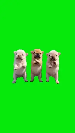 Dancing Puppies 