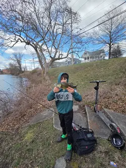 fishing