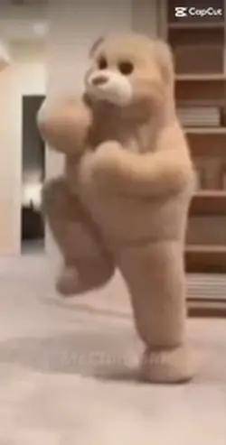 Burger bear
