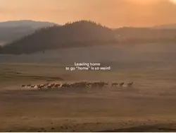 Going “home”