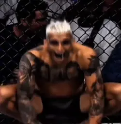 UFC templat