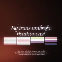 Flags are changeable