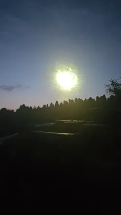 Happy 4th