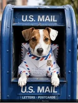 Special delivery 