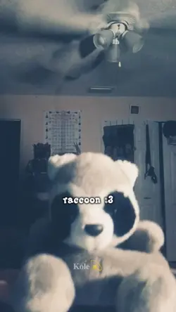 Raccoon!