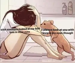 Dog❤️