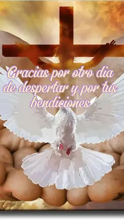 Gracias padre