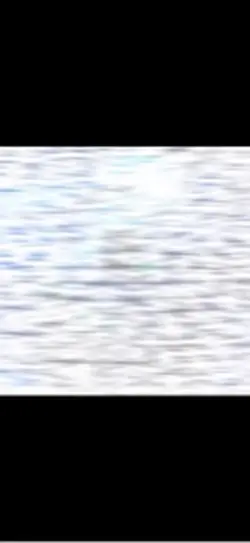 montagem guerreiro 