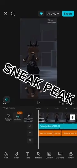 SNEAKY PEAKY