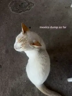 mexicooo