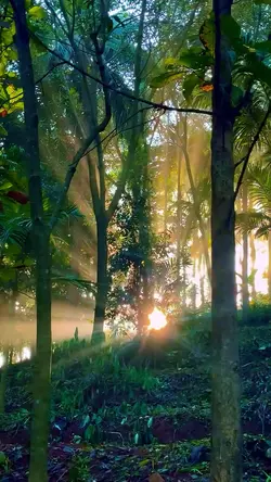 Nature vlog 