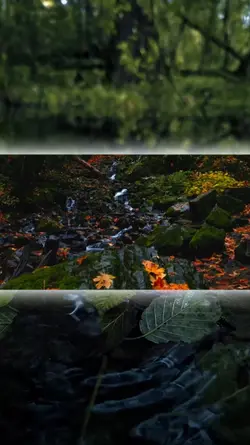 7 video or photo