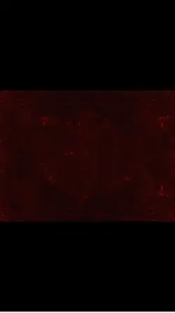 blood moon