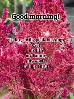 Good morning 