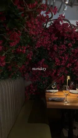 Sunday reset 