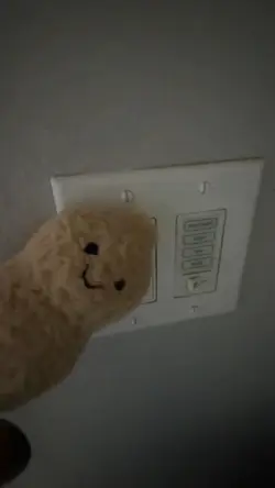 @Peterthepeanut