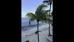 PARADISE