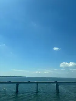 stupid song