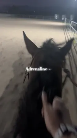 Adrenaline>>>