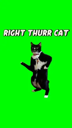 CAT RIGHT THURR