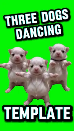 Three Dogs Dancing