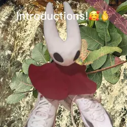 Here is my intro!