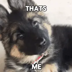 That's me!