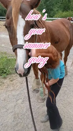 how’s your summer?
