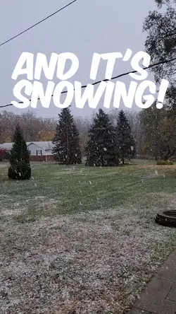 snow falling