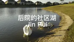 后院的社区湖