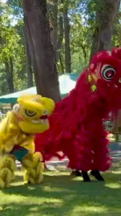 Lion dance