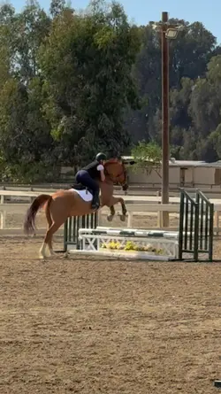 Holy long spot LOL