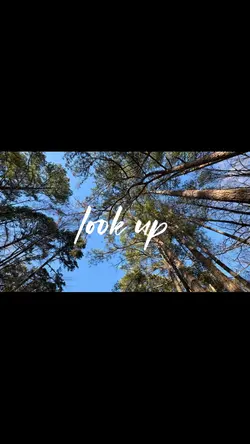 Look up