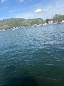 Still ship Fralachi!