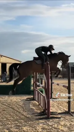 My friends ride here