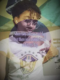 🇧🇷🇧🇷🇧🇷