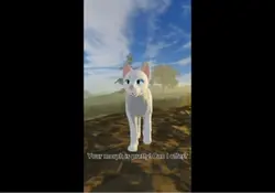 Wcue morph