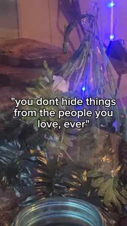 HIDE THE FLAGS!