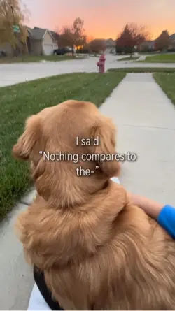 HIS HEEEEEL