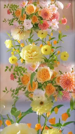 My flowers day