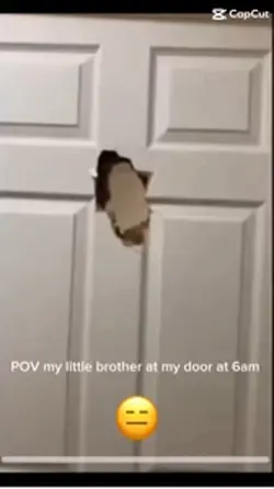 Brothers
