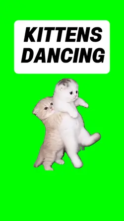 KITTENS DANCING