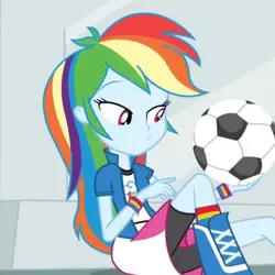 RAINBOW DASH X FLUTT