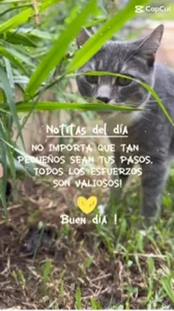 Buenos días 