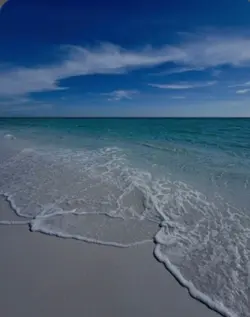 What makes you happy