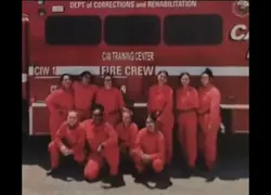 Female Offenders 