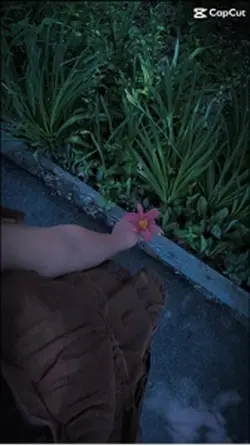 🫶