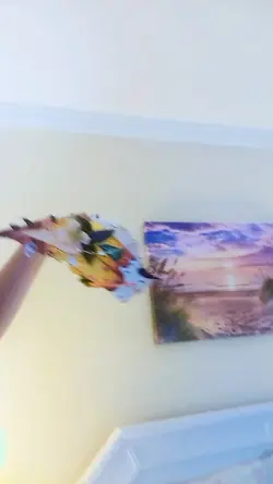 Enjoy