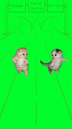 Kit-Cat dance